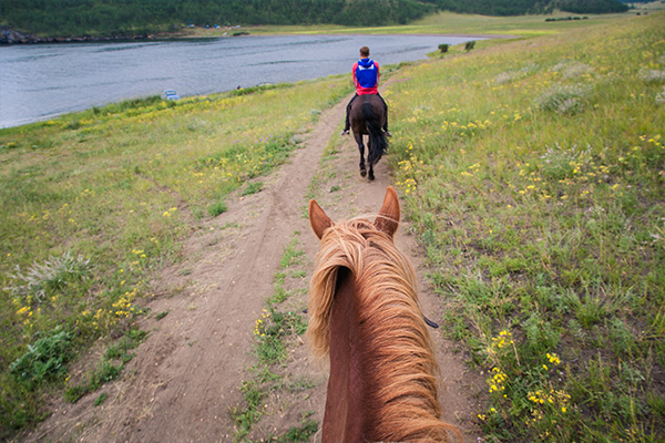 Конные прогулки, vip-туры на Байкал